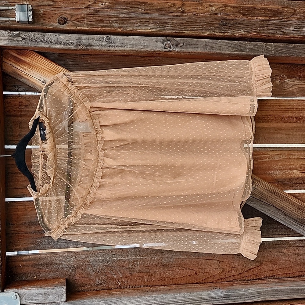 J. Crew Sheer Tan Blouse